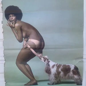 Dog Pulling Pants Off The Old School Black Power 1970's 24" x 30" Poster 38