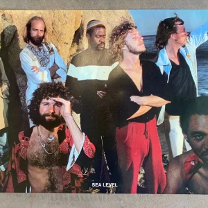 Sea Leval Vintage Group Poster 1978 ORIGINAL 22" x 34 NOS