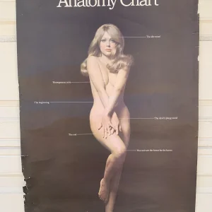 The Censors Anatomy Chart Sexy Vintage 1960's 24" x 35.5" Poster #121