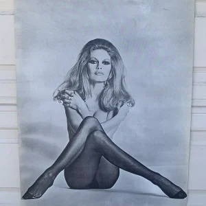 Brigette Bardot Sexy Vintage 1960s Poster Synergisms 101 29" x 40" Poster #111