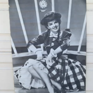 Judy Garland Wizard Of Oz Vintage 1960's 26.5" x 40.5" Trilby 45 Poster #110