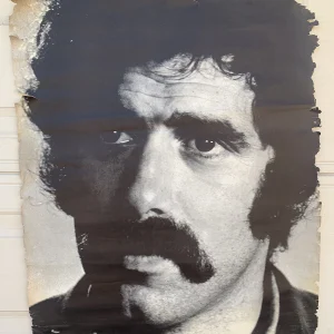 1969 Elliot Gould Poster Prints Vintage 30" x 40" Poster #134