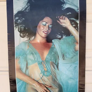 Wet Dreams Edy Williams #315 1977 ORIGINAL 23" x 35" Sexy Poster #176