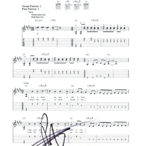 Pat Smear Foo Fighters Signed Autograph My Hero Sheet Music Colour and the Shape