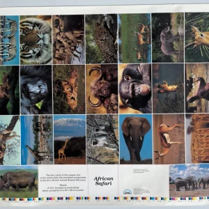 African Safari 23" x 29" Rare Vintage Poster Layout Sheet