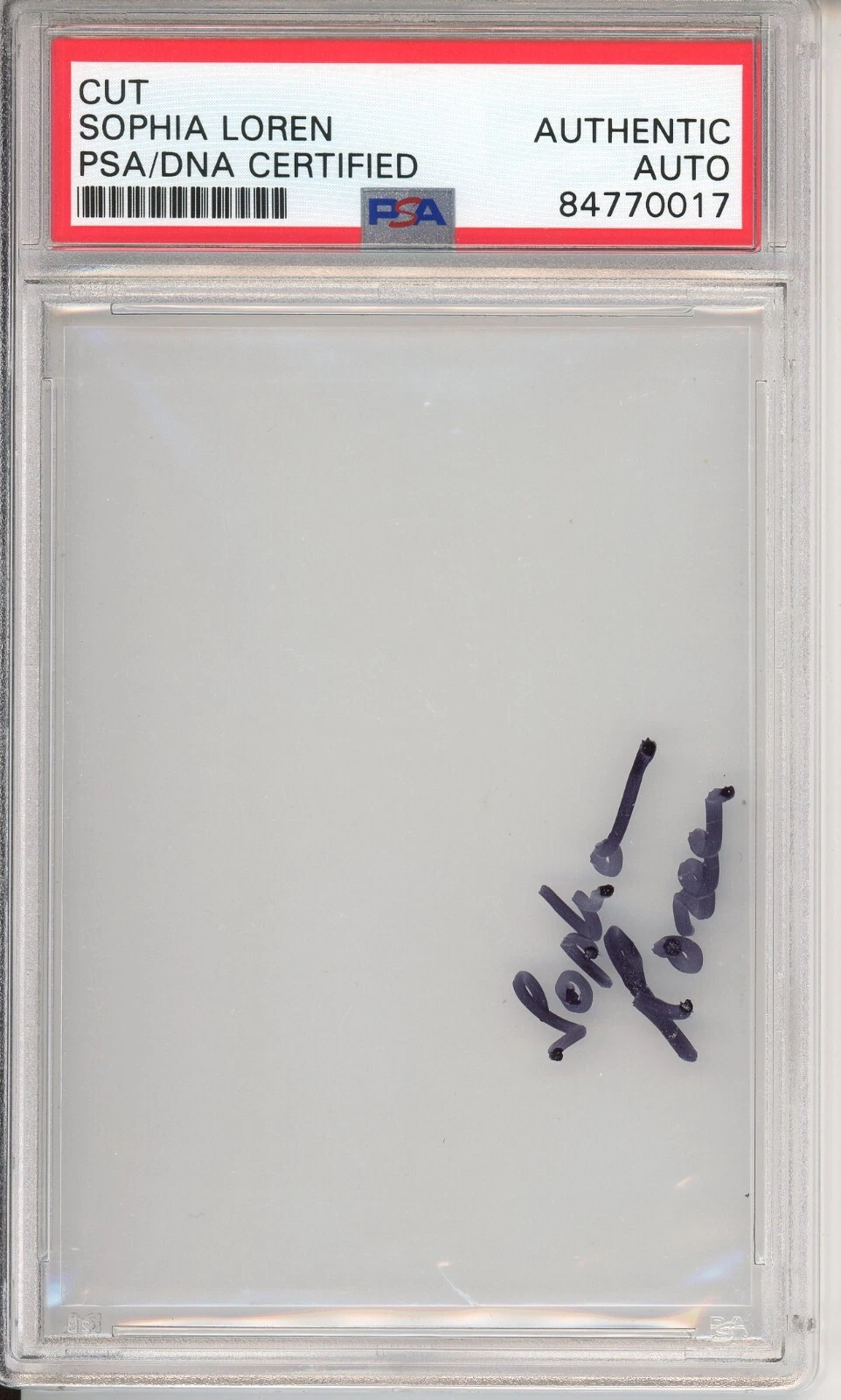 SOPHIA LOREN AUTOGRAPHED CLEAR PLASTIC CUT SIGNATURE PSA DNA CERTIFIED ...