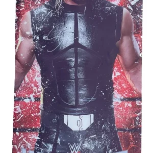 Seth Rollins Signed WWE WrestleMania Santa Clarita 23.5x67.5 Street Banner JSA