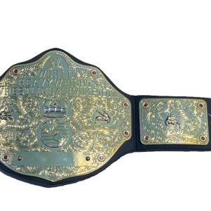 WWE World Heavyweight Championship Toy Belt Signed By 21 Full A.J. Lee JSA COA