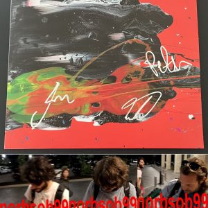 GOOSE RICK MITAROTONDA +2 SIGNED AUTOGRAPH UNDECIDED VINYL RECORD w/EXACT PROOF