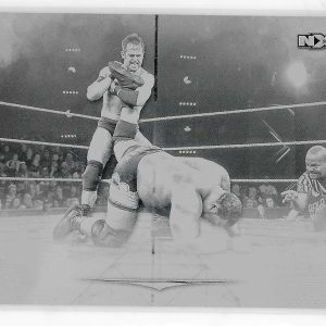 Roderick Strong 2020 Topps Undisputed WWE Printing Plate Card #69 1/1