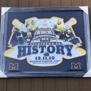 Michigan Wolverines Hockey Big Chill At The Big House 2010 35x43 Framed Poster