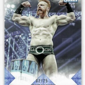 Sheamus 2020 Topps Undisputed WWE Smack Down Blue Card #48 02/25