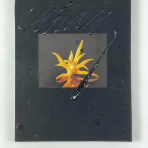 DALE CHIHULY SIGNED AUTOGRAPH W/ PAINT ON BOOK COVER "PELLEAS MELISANDE CHIHULY"