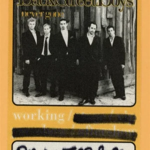 Backstreet Boys 2005 Never Gone Concert Tour Backstage Pass