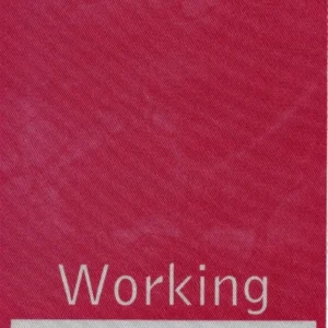 Fiona Apple 1997 Tidal Concert Tour Working Backstage Pass