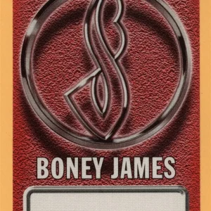 Boney James 1995 Seduction Concert Tour Backstage Pass