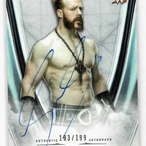 Sheamus 2020 Topps Undisputed WWE Smack Down Autograph Card A-SM 193/199