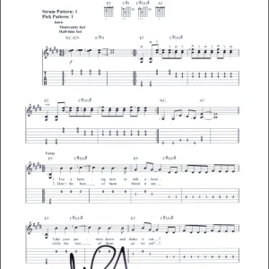 Pat Smear Foo Fighters Signed Autograph My Hero Sheet Music Colour and the Shape