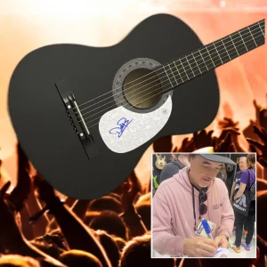 Chitarra Acustica Firmata Di Doug Robb Dei Hoobastank Con Prova COA
