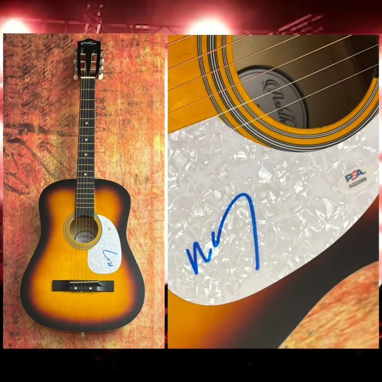 PSA  The Lumineers Band Singer  *  WESLEY SCHULTZ *  Signed Acoustic Guitar COA