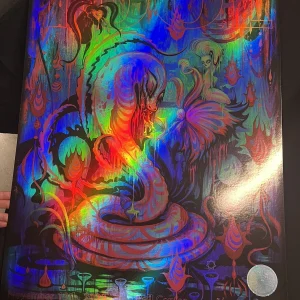 2023 TOOL BAND MONTREAL QUEBEC POSTER CONCERT TOUR 11/19/23 CAMILLE ROSE GARCIA