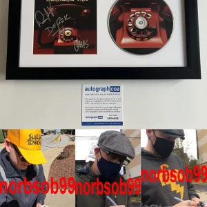 ALKALINE TRIO IS THIS THING CURSED SIGNED FRAMED CD MATT SKIBA +2 w/PROOF & COA