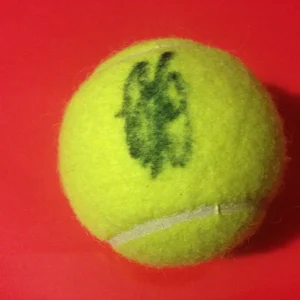 Hao-Ching Chan Wilson Tennis Ball Signed Auto