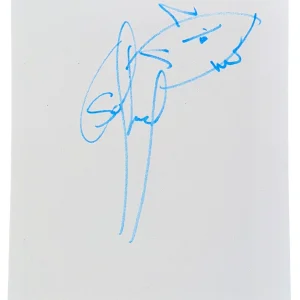 Stefan Lessard Dave Matthews Band Signed Autograph Original Art Sketch 11x14 COA