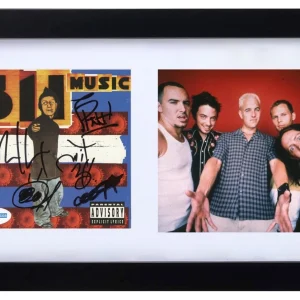 311 Band Signed Autograph Music CD Cover Framed Display Nick Hexum x5 ACOA COA