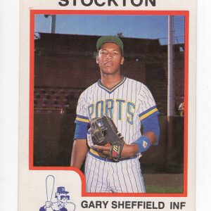 GARY SHEFFIELD 1987 MINOR LEAGUE PROCARDS STOCKTON CARD        AMAZING CONDITION
