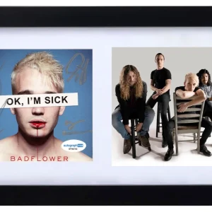 Badflower Signed Autograph OK, I'M SICK CD Framed Josh Katz Full Band ACOA COA