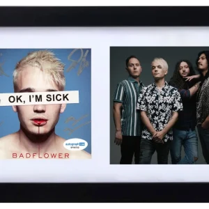 Badflower Signed Autograph OK, I'M SICK CD Framed Josh Katz Full Band ACOA COA