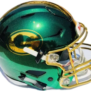 GREEN BAY PACKERS Full Size CHROME Authentic SPEED FLEX Football Helmet 1/1