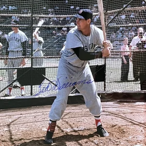 TED WILLIAMS SIGNED BATTING CAGE 16X20 PSA DNA (D) RED SOX GREEN DIAMOND