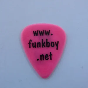 Ivan Bodley Funkboy Vintage Concert Tour Issued Guitar Pick