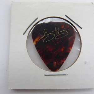 Gary Hoey 1999 Gold on Tortoise Concert Tour Issued Guitar Pick