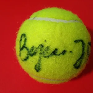 Bojana Jovanovski Wilson Tennis Ball Signed Auto