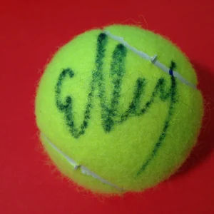 Elena Vesnina Penn Tennis Ball Signed Auto