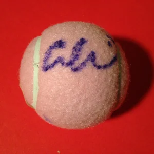 Alison Riske Pink Wilson Hope Cancer Research Tennis Ball Signed Auto