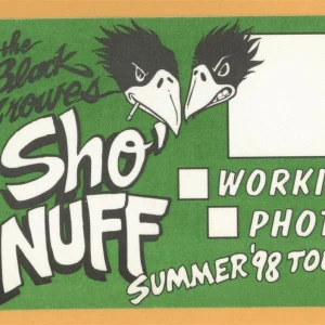 Black Crowes 1998 Summer Concert Tour Working Backstage Pass