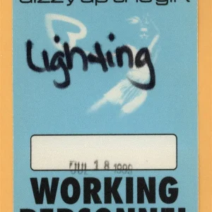 Goo Goo Dolls 1999 Dizzy Up The Girl Concert Tour WORKING Backstage Pass
