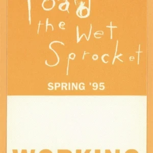 Toad The Wet Sprocket 1995 Dulcinea Concert Tour WORKING Backstage Pass