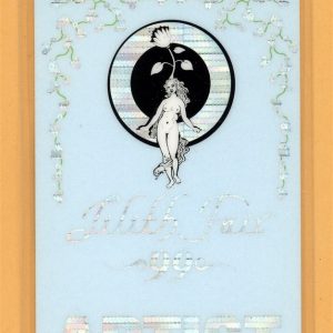 Sarah McLachlan 1999 Lilith Fair Tour w/ Indigo Girls Laminated Backstage Pass