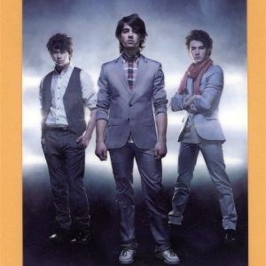 Jonas Brothers 2008 A Little Bit Longer Tour AA Laminated Backstage Pass