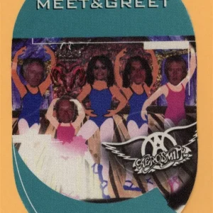 Aerosmith 2001 Just Push Play Concert Tour Meet & Greet Backstage Pass