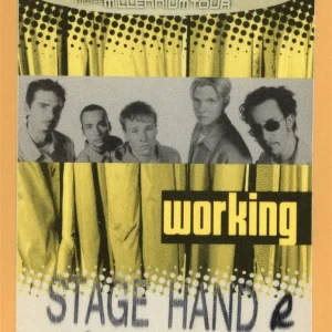 Backstreet Boys 1999 Millennium Concert Tour Working Backstage Pass