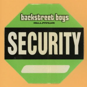 Backstreet Boys 2000 Millennium Concert Tour Security Backstage Pass