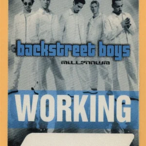 Backstreet Boys 2000 Millennium Concert Tour Working Backstage Pass
