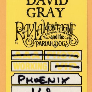 David Gray 2009 Draw the Line Concert Tour Backstage Pass