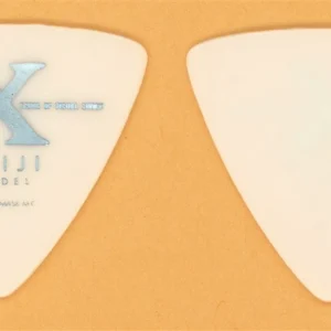 X Japan TAIJI Vintage Guitar Pick - 1993 Art of Life Tour
